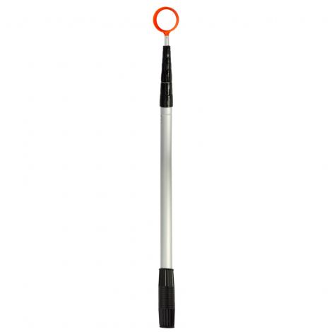 Pescador de Bolas Orange 8Ft