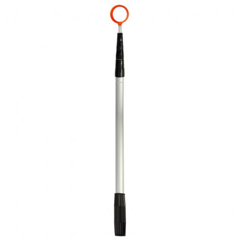 Pescador de Bolas Orange 10Ft